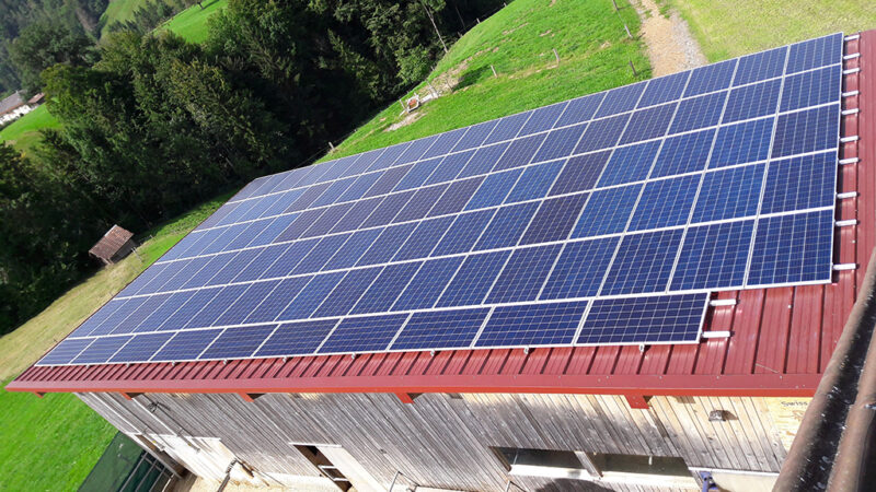 Landwirtschaftliche Solaranlagen sind wieder gefragt | MW 